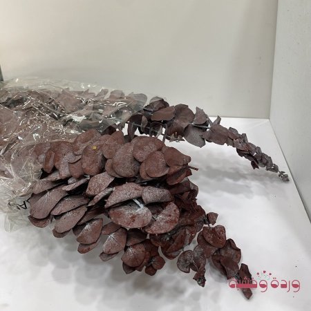 زعتر طبيعي مجفف